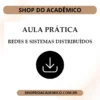 Aula Prática Redes e Sistemas Distribuídos
