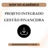 Projeto Integrado Síntese Gestão Financeira