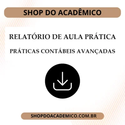 Relatório de aula prática | práticas contábeis avançadas